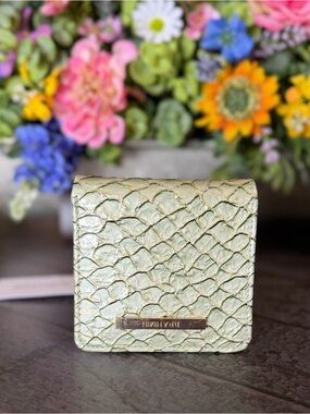 BRAHMIN JANE MINT NOVELLA PAYENT SNAKE LEATHER NWT GREEN